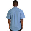 Picture of Cameron Shirt Short Sleeve- Stripe 5