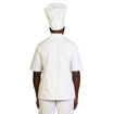 Picture of Stanley Chef Coat- Short Sleeve