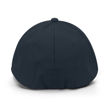 Navy Back